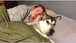 Etkö päästä koiraa sänkyysi? Ehkä tämän artikkelin jälkeen haluat ne aina lähell