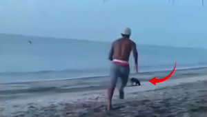 Nuori mies potkaisi rannalla ollutta kulkukoiraa...hetkeä myöhemmin hän katui si