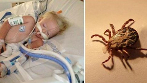 Tämä kaksivuotias kuoli leikittyään pihalla – hänen perheensä varoittaa tappavas