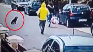 Epäilyttävä mies hyökkäsi naisen kimppuun takaa päin. Video joka näyttää miten k